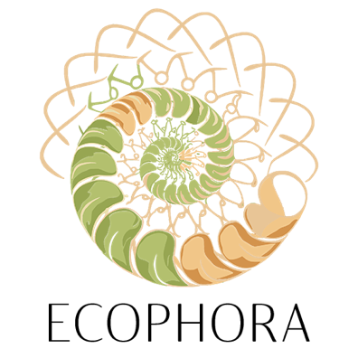 Lien vers le site Internet de Belz&But